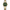 CURREN 8439 BICOLOR FONDO VERDE DAMA
