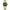 CURREN 8494 BICOLOR FONDO VERDE